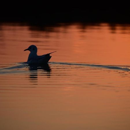 Agriturismo Venice Photobirding Tessera Eksteriør billede